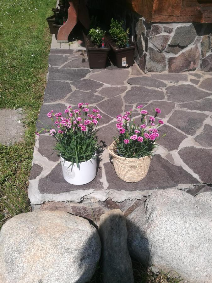 Drevenica Zapadne Tatry S Kupacou Kadou A Krbom Apartment Ziar Exterior photo